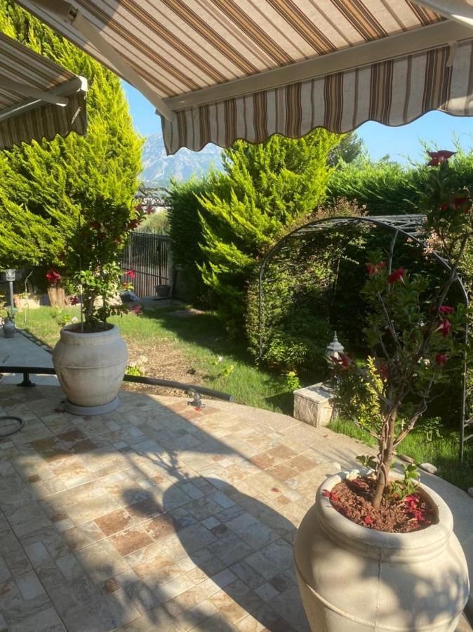 Villa Sofija Apartaments Bar Buitenkant foto